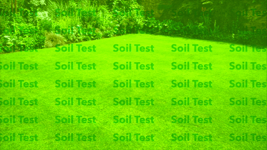 Budget Gardening Soil Test
